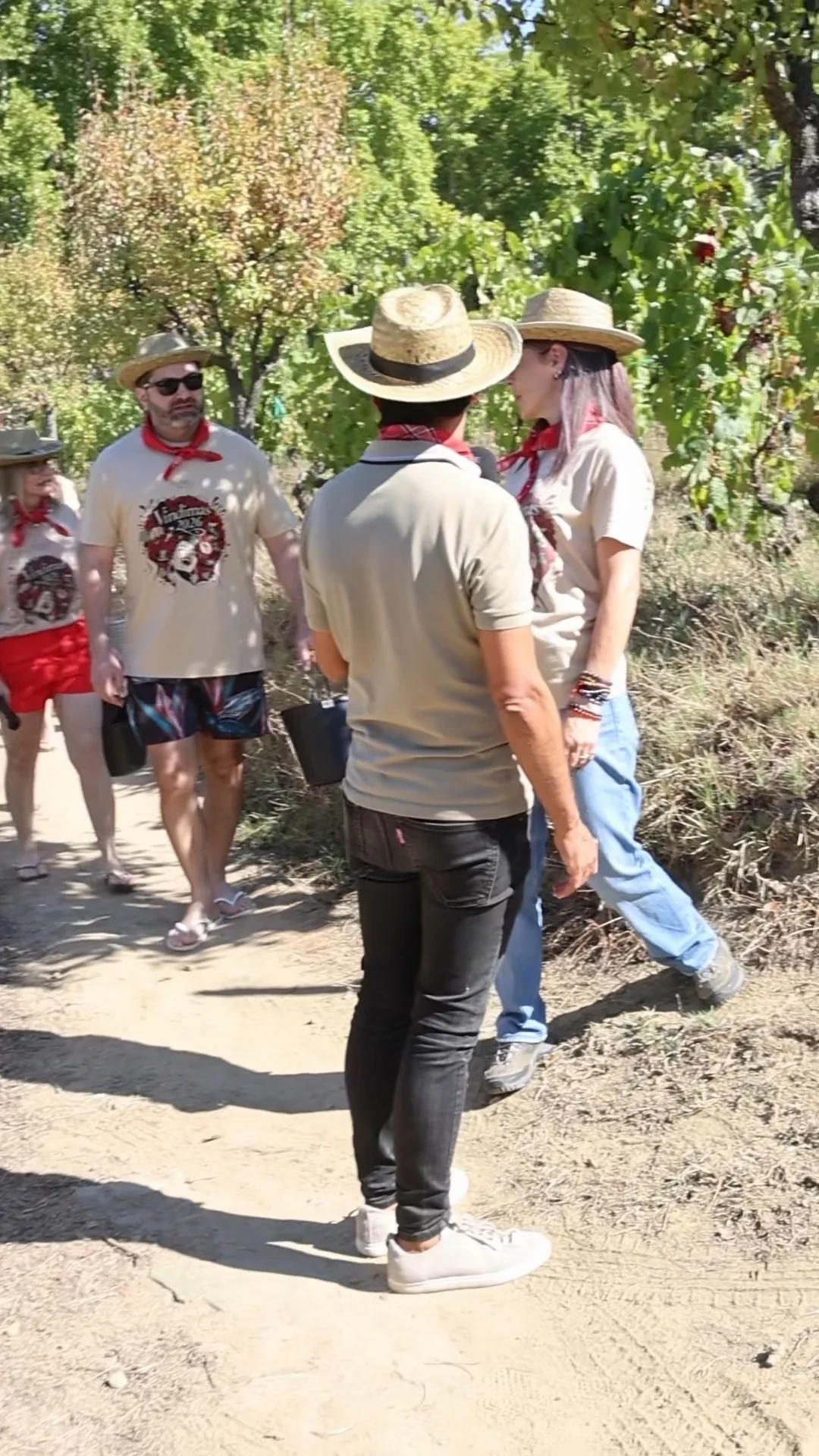 Visita às videiras com participantes na experiência